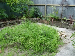 Garden Room Before